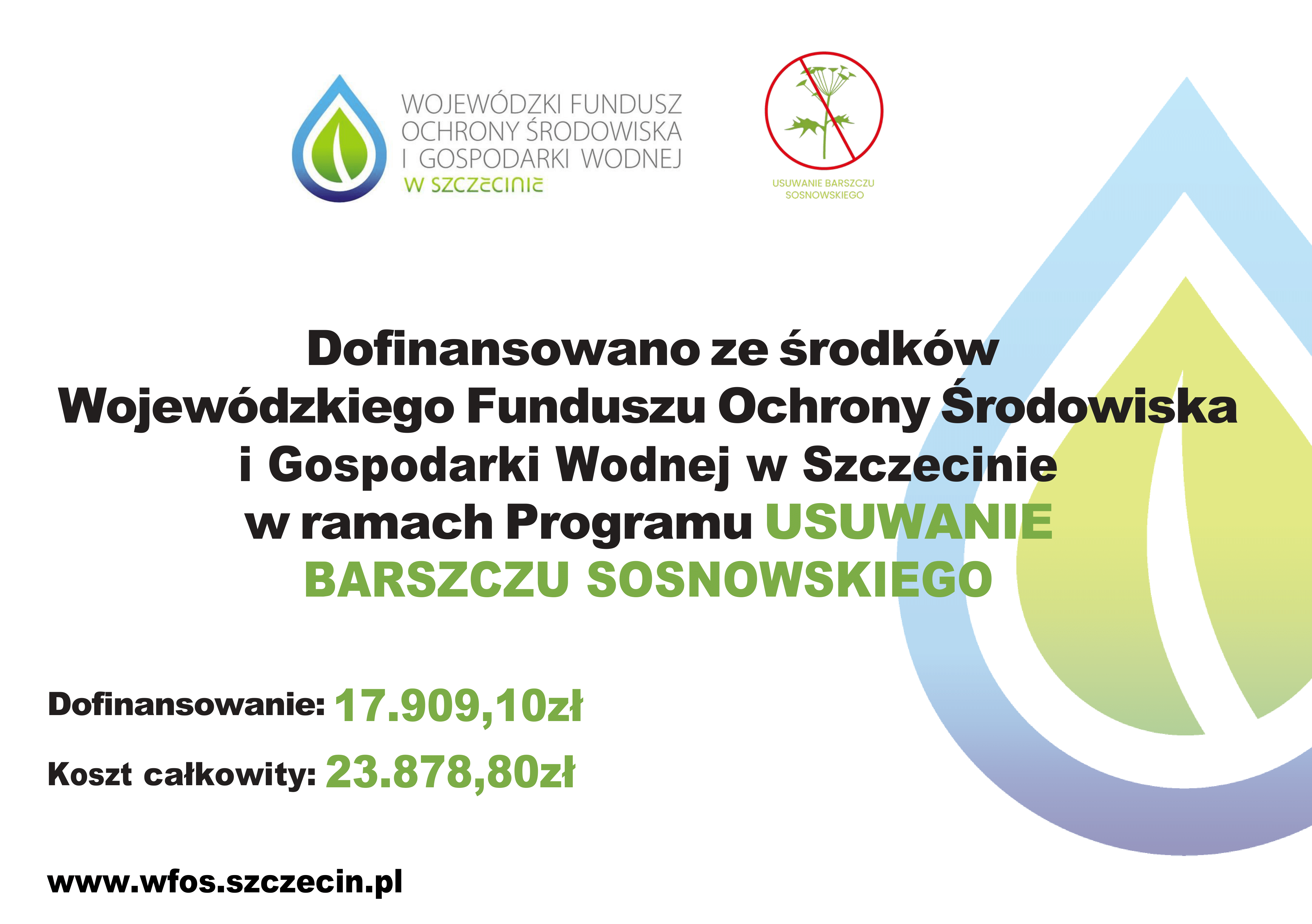 W ramach dofinansowania usuwania barszczu sosnowskiego Gmina Białogard otrzymała dofinansowanie: 17.909,10zł