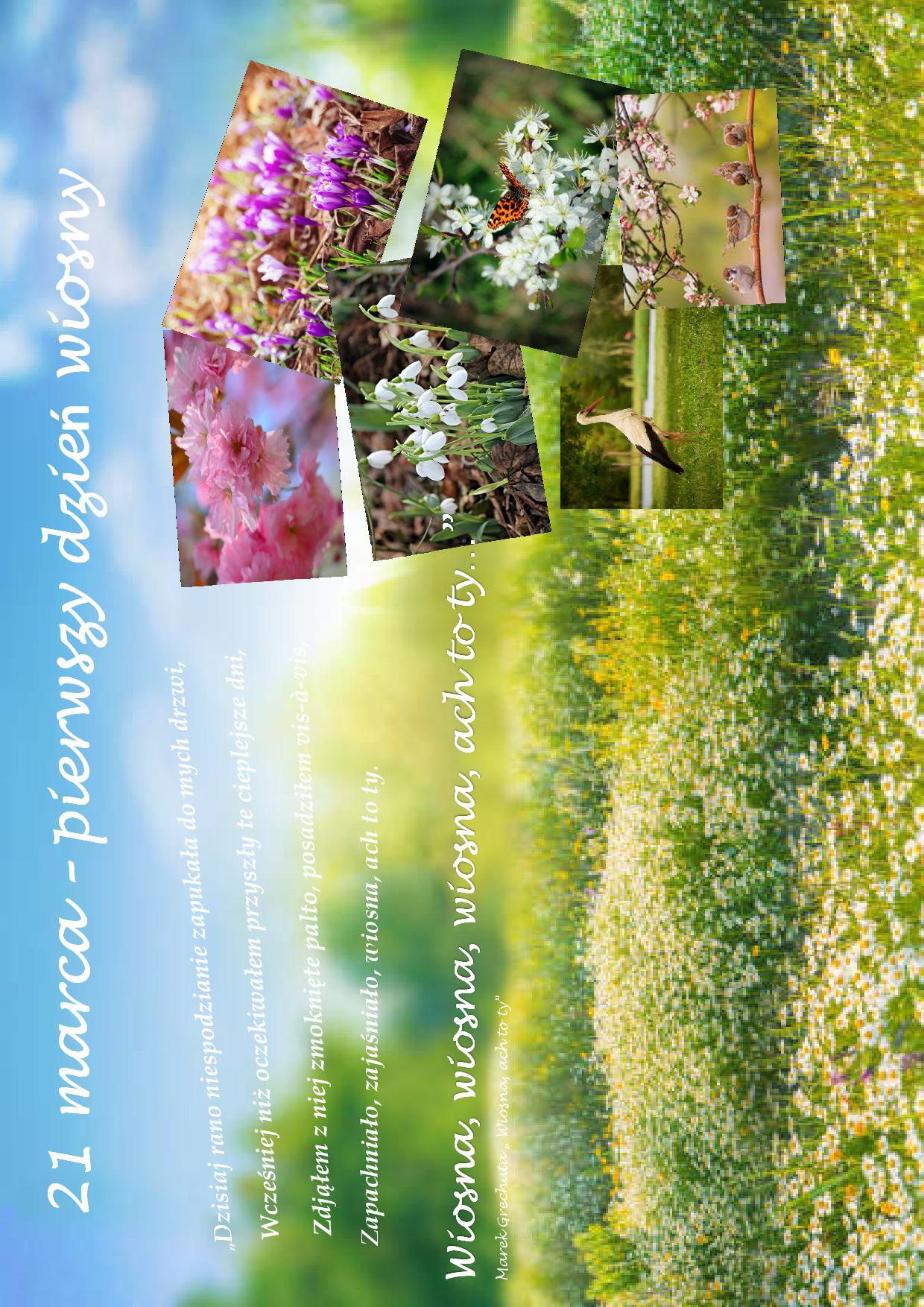 obraz łąki z kwiatami, po prawej stronie 6 zdjęć z pierwszymi oznakami wiosny, po lewej stronie fragment piosenki Marka Grechuty  