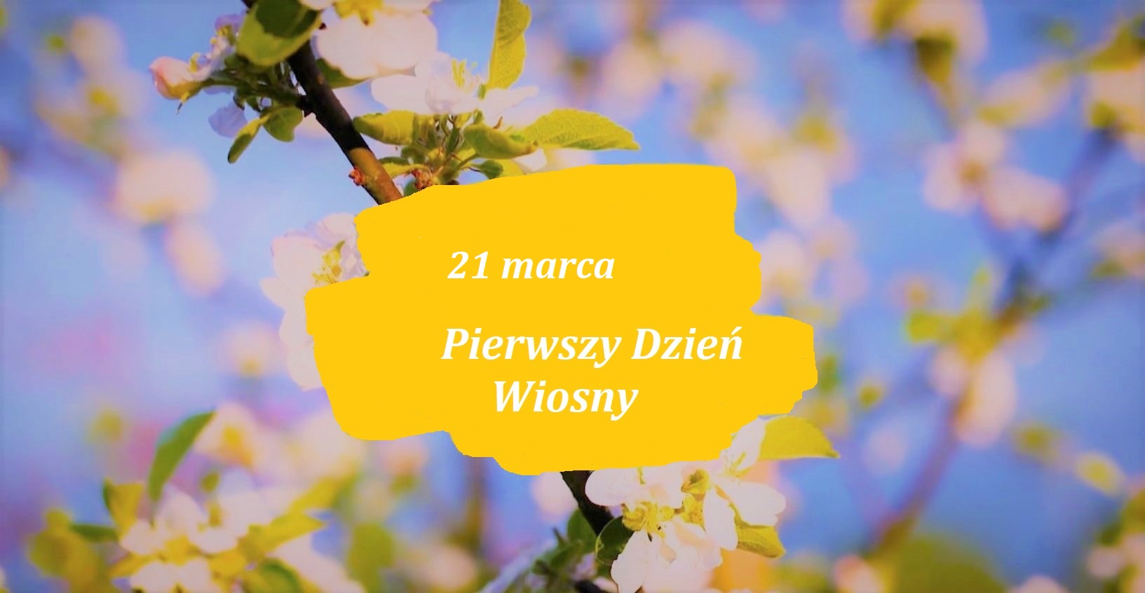 błękitne tło na nim kwitnące drzewo, na środku na żółtym tle biały napis 21 marca Pierwszy Dzień Wiosny 