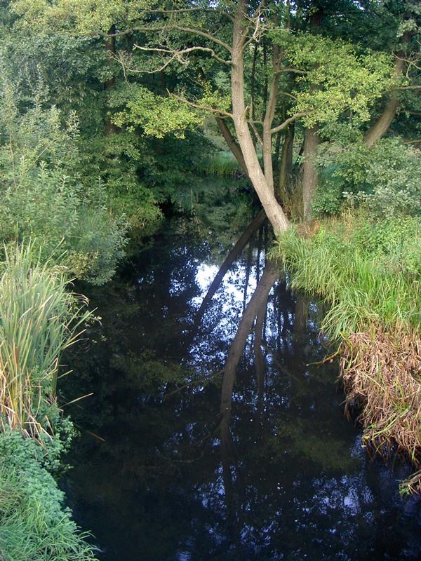 Lisnica pod Zytelkowem