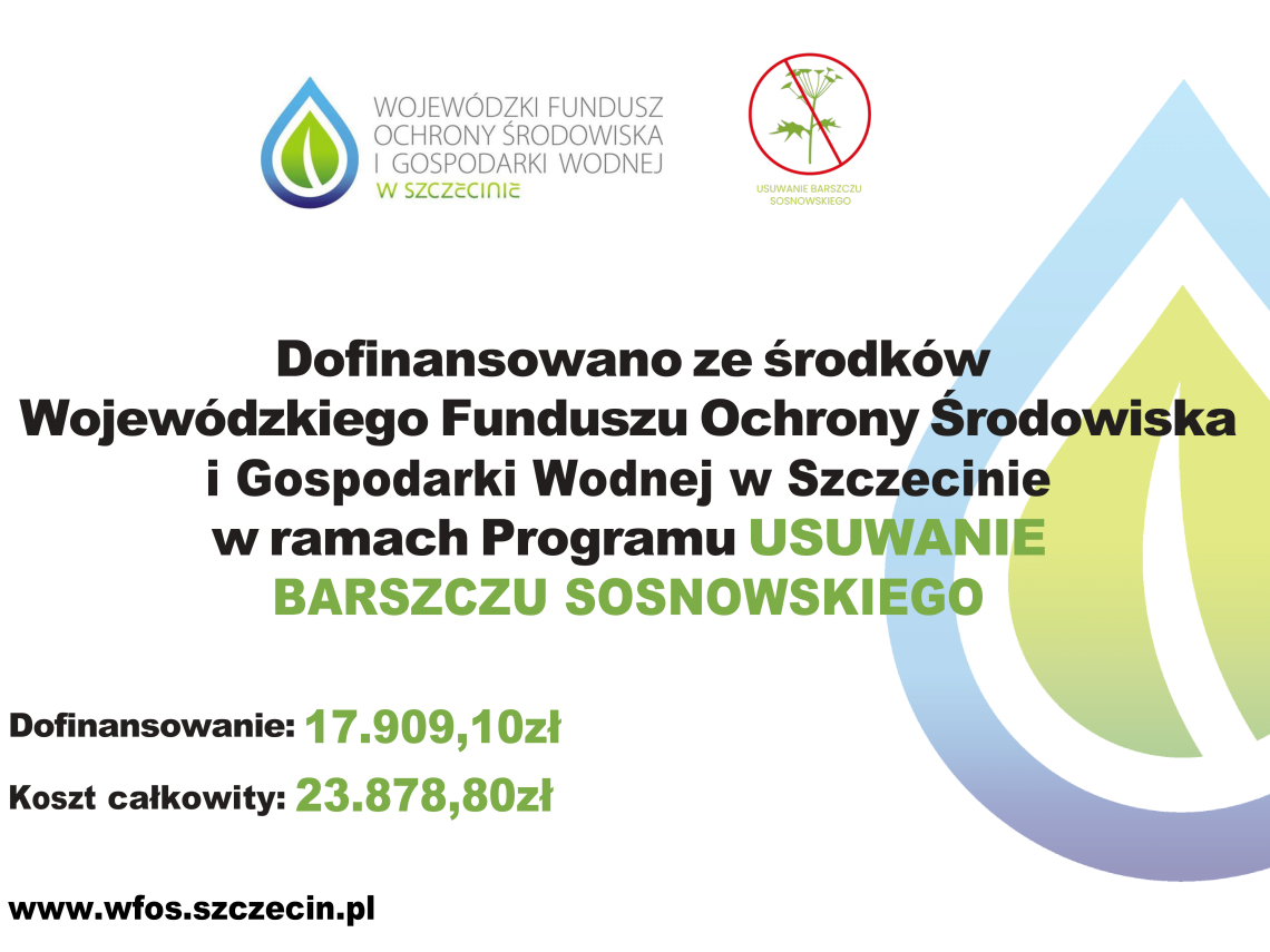 W ramach dofinansowania usuwania barszczu sosnowskiego Gmina Białogard otrzymała dofinansowanie: 17.909,10zł